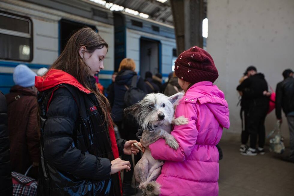 "Укрзалізниця" помогла украинцам эвакуировать более 100 тыс. животных. Фоторепортаж 8