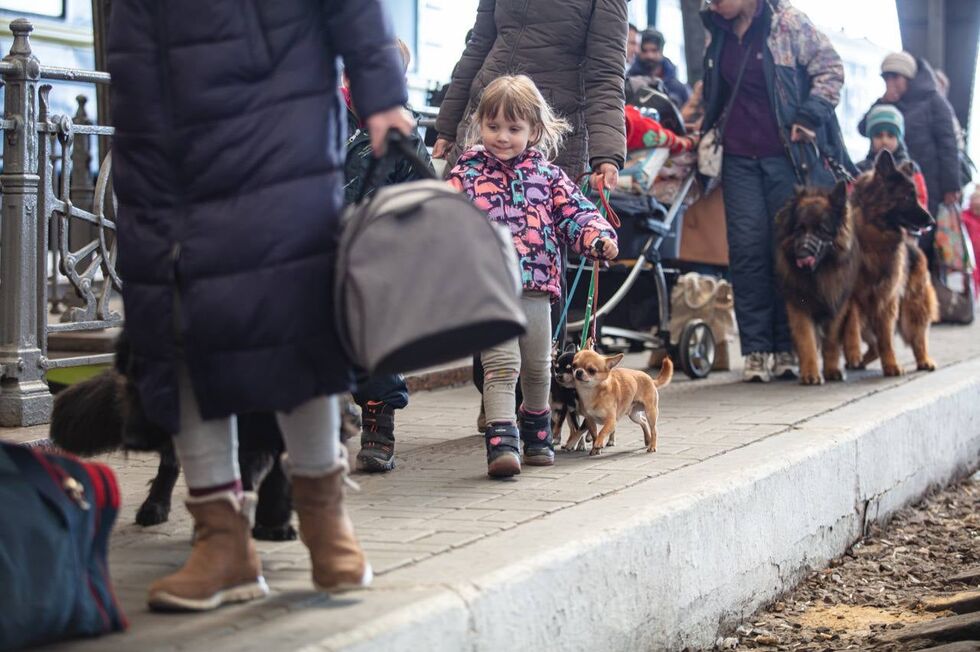 "Укрзалізниця" помогла украинцам эвакуировать более 100 тыс. животных. Фоторепортаж 5