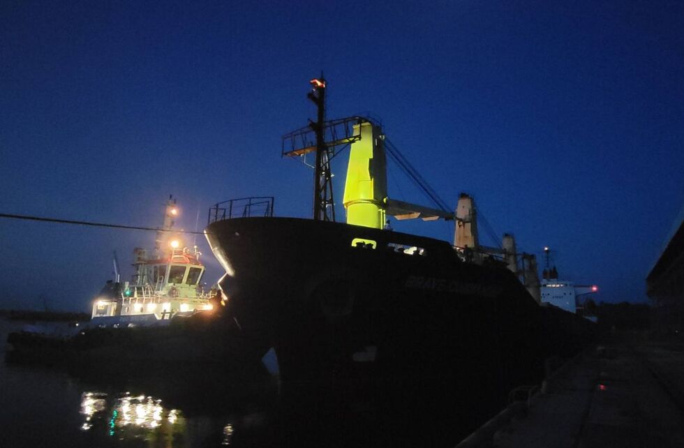 Из порта Пивденный в Африку направилось судно с 23 тыс. тонн украинской пшеницы. Фоторепортаж 2