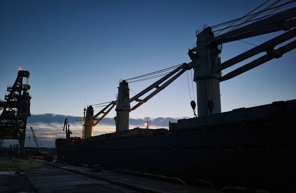 Из порта Пивденный в Африку направилось судно с 23 тыс. тонн украинской пшеницы. Фоторепортаж 4