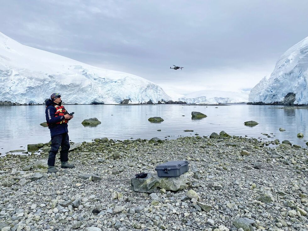 Украинские полярники в Антарктиде показали фото китов с дрона 1