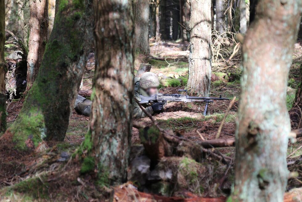 Генштаб ВСУ показал, как норвежские инструкторы учат украинских военных ведению боя в лесу. Фото 2
