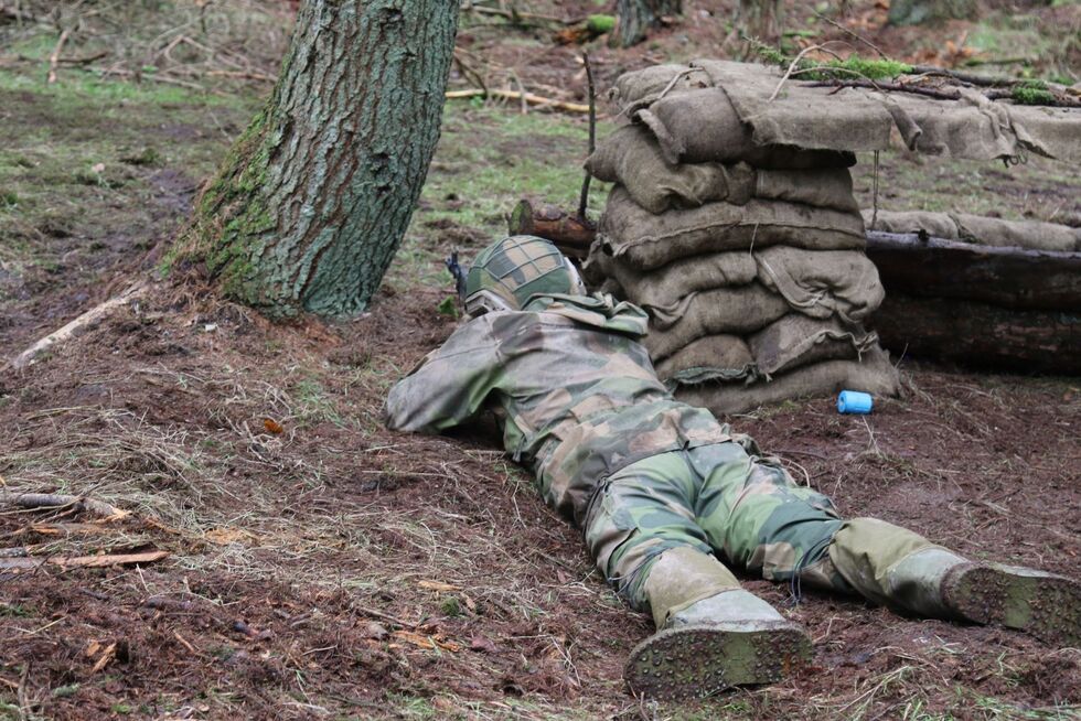 Генштаб ВСУ показал, как норвежские инструкторы учат украинских военных ведению боя в лесу. Фото 4
