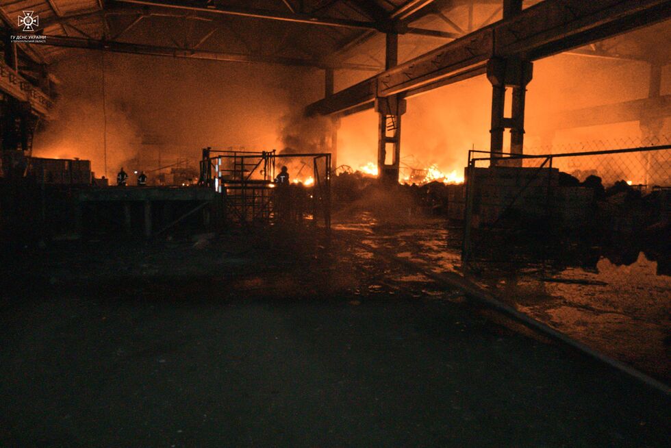 ДСНС показала наслідки удару РФ по Тернопільській області: вогонь гасило 80 пожежників. Фоторепортаж 2