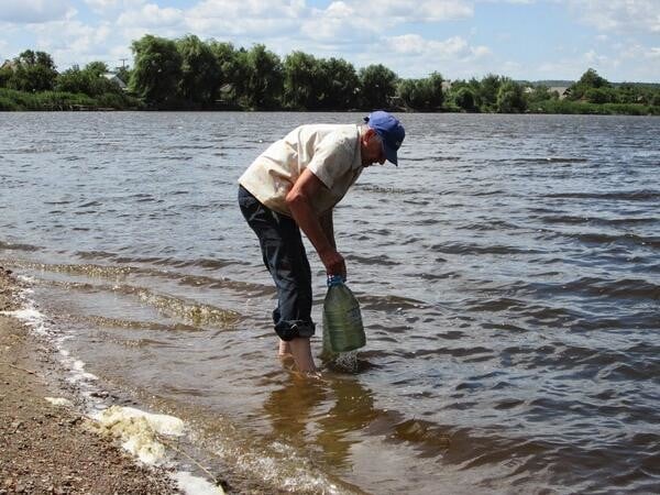 Подводные жители фото