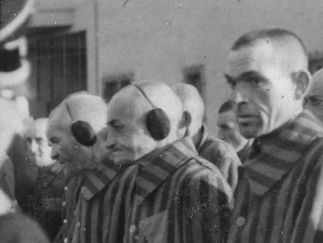 “Мы по лагерям и тюрьмам”: украинские националисты в немецких концлагерях